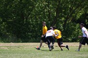 OTFL Gallery Image